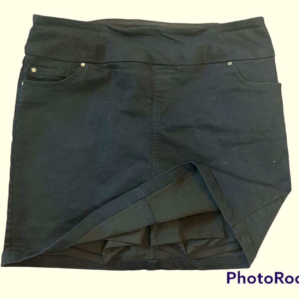 S.C. & Co. Skirt with Attached Shorts Liner